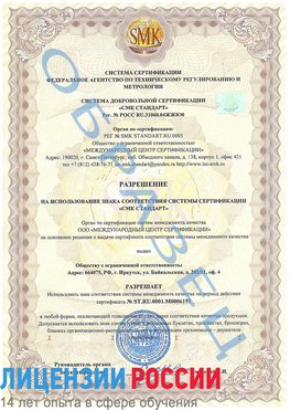 Образец разрешение Петрозаводск Сертификат ISO 50001